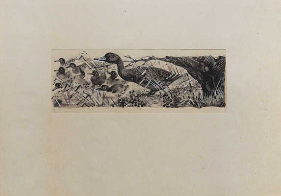 Елкин Василий Николаевич. Лот из шести иллюстраций к книге М. Пришвина "Журка" и книга М. Пришвина "Журка" (М.: ДЕТГИЗ, 1948)